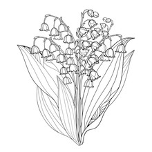 Vector Bouquet With Outline Lily Of The Valley Or Convallaria Flowers And Leaves Isolated On White. Ornate Floral Element For Spring Design Or Coloring Book. Bunch Of May Lily Flower In Contour Style.
