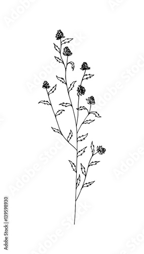 Free Free 218 Outline Wildflower Svg SVG PNG EPS DXF File