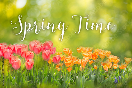 Spring Time