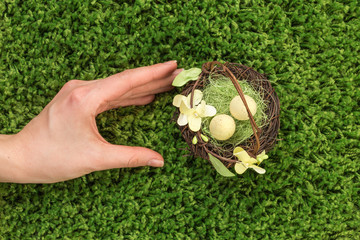 Easter spring eggs on green grass holded by hand