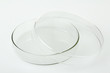 © Studio KIVI - Petri dish