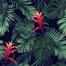 Hand Drawn Seamless Floral Pattern With Guzmania Flowers, Monstera And Royal Palm Leaves. Exotic Hawaiian Vector Background.