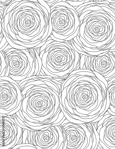 Black And White Seamless Floral Texture With Outline Roses Vector