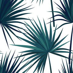 Wall Mural - Tropical background with jungle plants. Seamless vector tropical pattern with green phoenix palm leaves. Vector illustration.