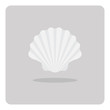 Vector of flat icon, Scallop shell on isolated background