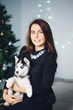 © Parilov - Girl on the background of a Christmas tree with a puppy of a husky. Dog black and white with blue eyes. Concept gift for the new year dog.