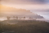 Fototapeta Na ścianę - Tree on hill in foggy at dawn
