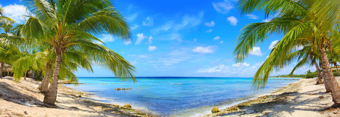 Caribbean sea and palms.