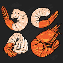 Wall Mural - Shrimp cocktail drawing on a black background. seafood for a party or dinner. Hand drawn seafood illustration. Prawn.