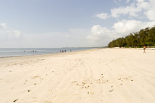 View Of The Beach And Ocean