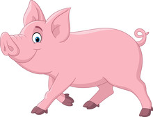 Cartoon Funny Pig