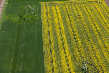 aerial view of harvest fields