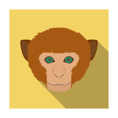 Wall Mural - Monkey icon in flat style isolated on white background. Realistic animals symbol stock vector illustration.