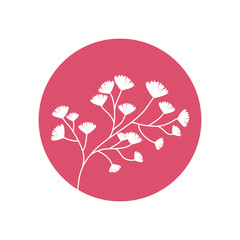 Sticker - flower decorative natural icon vector illusration eps 10