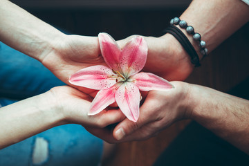 Closeup hands of man and woman holding pink red flower lily together, view from top above, romantic young couple in love, toned with filters