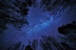 Night sky with the Milky Way over the forest and trees surrounding the scene.