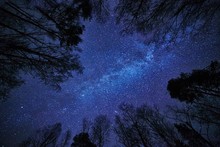 Night Sky With The Milky Way Over The Forest And Trees Surrounding The Scene.