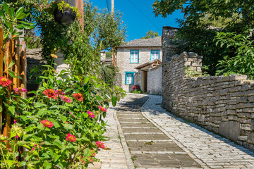 Poster - Street in village of Monodendri. Zagoria, Greece