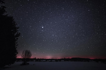 rural winter landscape at night with trees and stars