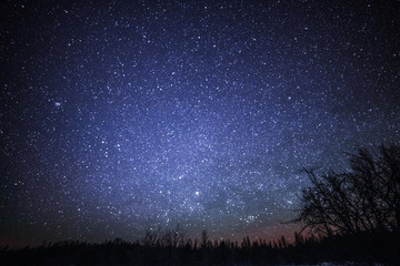 rural winter landscape at night with trees and stars