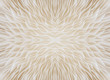 © lamyai - abstract background macro image of Sajor-caju mushroom