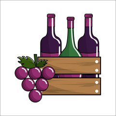 Wall Mural - bottles wine and grape icon