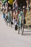 Fototapeta Krajobraz - Group of cyclists riding a bike in a cycling race. Racing Bike.