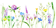 Floral Border Of A Wild Flowers And Herbs On A White Background.Buttercup, Clover,bluebell,vetch,timothy Grass,lobelia,spike. Watercolor Hand Drawn Illustration.