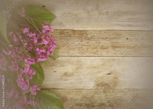 Fotografie, Obraz Dried flowers called broom bloom or bloom weed in pink on a rustic background