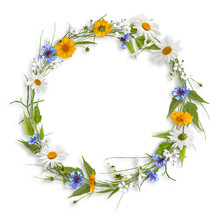Circle Frame From Branches, Flowers And Grass