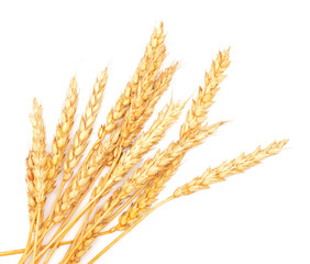 Wall Mural - wheat ears