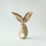 Fototapeta Kwiaty - Easter bunny paper gift egg wrapping diy idea. Minimal easter concept
