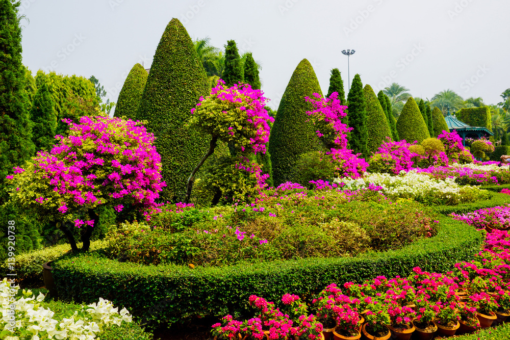 Pyramidal trees and shrubs Stock Photo | Adobe Stock