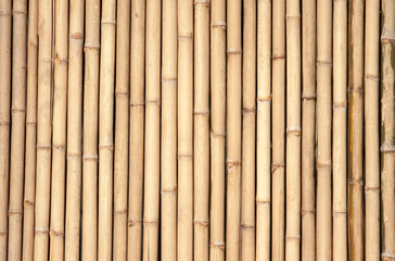 Bamboo fence