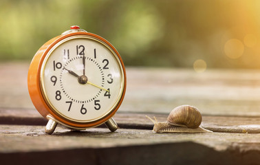 Retro alarm clock and a slow snail - time concept