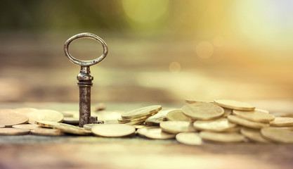 Business success - website banner of key and money coins