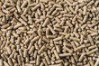 Close-up on feed pellets