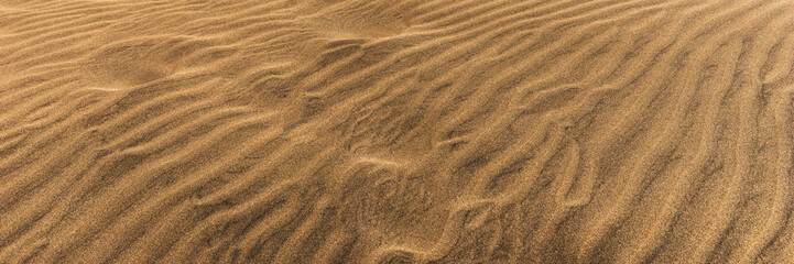  Desert dunes sand texture background in Maspalomas Gran Canaria at Canary islands