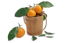 Freshness Tangerine