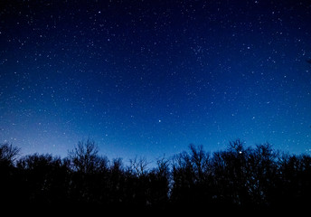 starry sky over the forest.