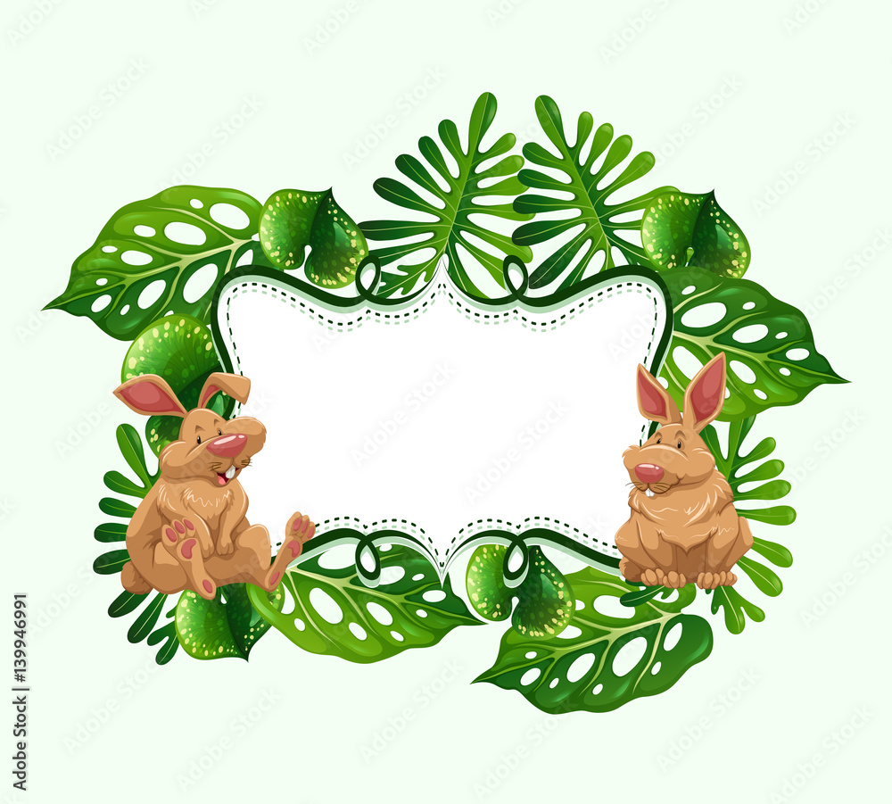 Frame design with two rabbits Stock Vector | Adobe Stock