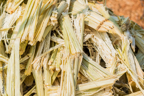 close-up-stack-bagasse-of-sugarcane-stock-adobe-stock