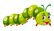 Green caterpillar crawling on white background