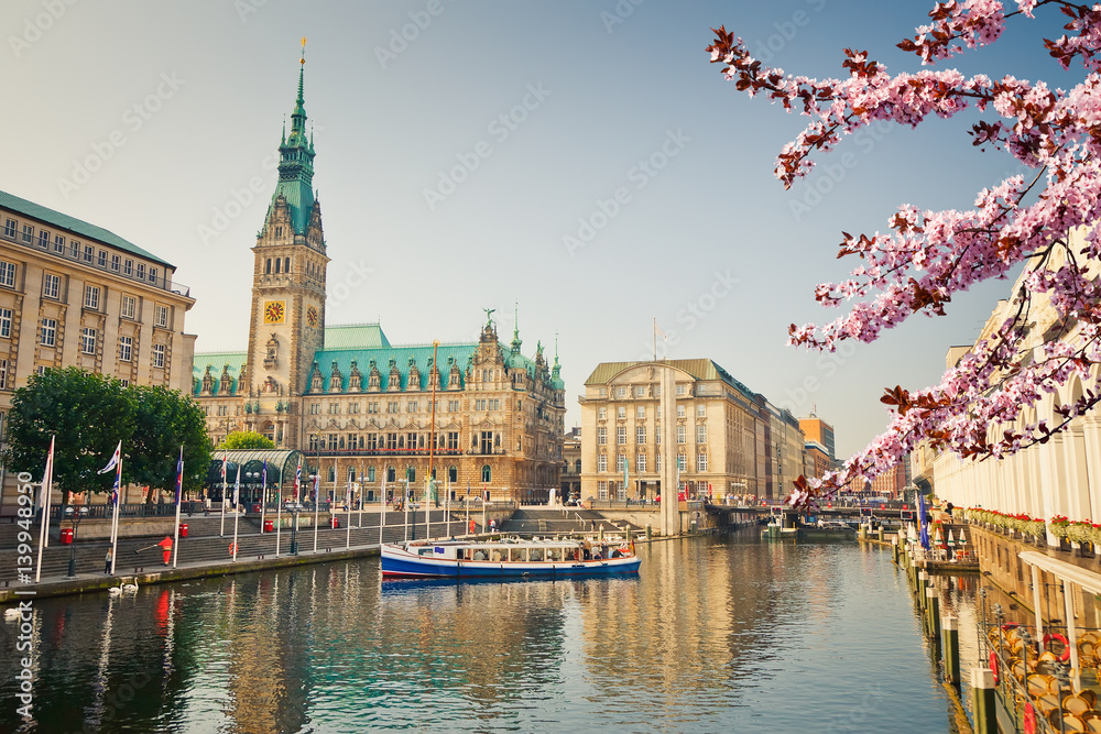Hamburg townhall and Alster river at spring - obrazy, fototapety, plakaty 