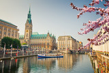 Fototapeta  - Hamburg townhall and Alster river at spring