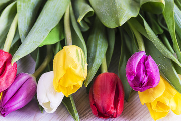 Wall Mural - tulips with water drops on light wooden background