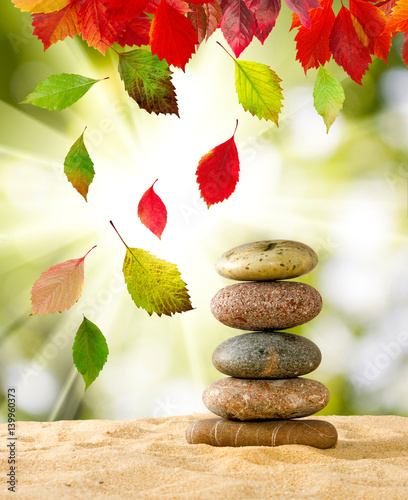 Naklejka na meble rock on sand on leaves background