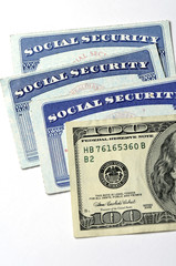 Wall Mural - Social Security Cards for Identification