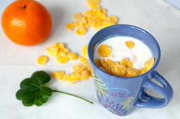 Healthy breakfast of yogurt, cornflakes and orange