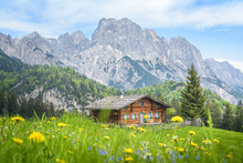 Traditional Austrian Alpine Cabin, Salzburger Land, Austria
